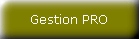 Ver sistema GESTION PRO